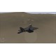 F-22: Air Dominance Fighter PC Steam CD Key