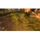FLOW PC Steam CD Key