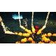 Ritualist PC Steam CD Key