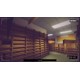Paragnosia Museum PC Steam CD Key