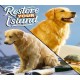 Restore Your Island PC Steam CD Key