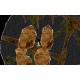 And Yet It Moves PC Steam CD Key (valid until March 2027)