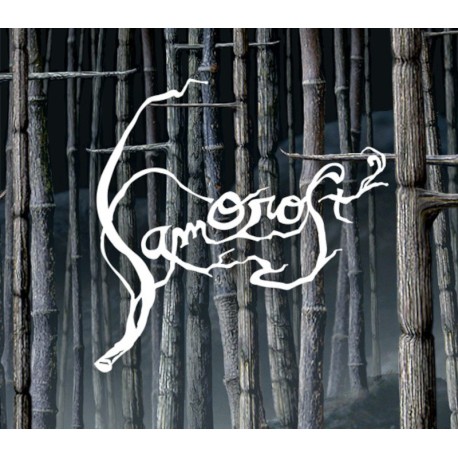 Samorost 2 PC Steam CD Key (valid until March 2027)