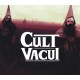 Cult Vacui PC Steam CD Key