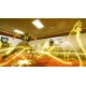 Cobra Kai 2: Dojos Rising EU Nintendo Switch CD Key