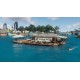 Tropico 6 - Tropican Shores DLC EU PC Steam CD Key