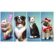 The Sims 4 Bundle - Cats & Dogs DLC + Parenthood DLC + Toddler Stuff DLC EU XBOX One / Xbox Series X|S CD Key