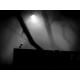Limbo Steam CD Key