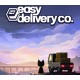 Easy Delivery Co. NA PS5 CD Key