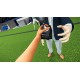 Football Life Simulator PC Steam Account