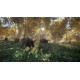 Call of the Wild Bundle PC Steam CD Key