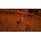 Hello Neighbor EU XBOX One / Xbox Series X|S CD Key