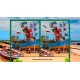 Big Adventure: Trip to Europe 11 Collector's Edition PC Steam CD Key