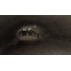 Brno Transit PC Steam CD Key