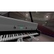 VR Pianist Steam CD Key