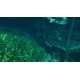 Island Notes PC Steam CD Key