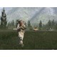 Arma Gold Edition PC Steam Account