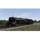 Train Simulator 2013 Steam CD Key