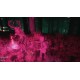 Mycelium: The Silent Contract PC Steam CD Key