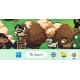 MaoMaoMao PC Steam CD Key