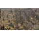 City States: Medieval PC Steam CD Key