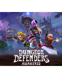 Dungeon Defenders: Awakened EU XBOX One/Xbox Series X|S CD Key