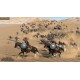 Mount & Blade II: Bannerlord US XBOX One / Xbox Series X|S CD Key