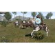 Mount & Blade II: Bannerlord US XBOX One / Xbox Series X|S CD Key