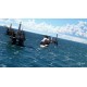 Microsoft Flight Simulator 40th Anniversary Premium Deluxe Edition Xbox Series X|S CD Key