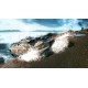 WARNO - LANDJUT DLC PC Steam CD Key