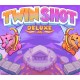 Twin Shot Deluxe PC Steam CD Key
