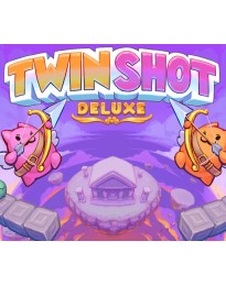 Twin Shot Deluxe PC Steam CD Key