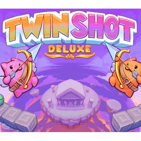 Twin Shot Deluxe PC Steam CD Key