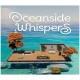 Oceanside Whispers PC Steam CD Key