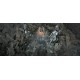 Diablo IV PC Battle.net CD Key