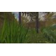 The Family Trip PC Steam CD Key
