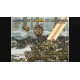 ACA NEOGEO METAL SLUG EU XBOX One / Xbox Series X|S / PC CD Key
