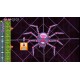 Polyroll Steam CD Key