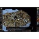 Baldur's Gate - Faces of Good and Evil DLC EU PC Steam CD Key