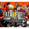 FATAL FURY: CotW - Season Pass 1 DLC PC Steam CD Key