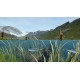Ultimate Fishing Series Bundle PC Steam CD Key