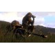 Arma 3 Steam Bohemia Gift