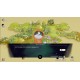 Nekokami: The Human Restoration Project PC Steam CD Key