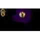 The Island of Doctor Morose PC Steam CD Key
