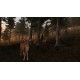 Virtual Hunter EU PC Steam CD Key