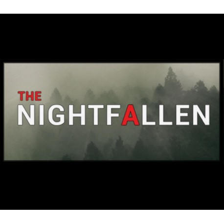 NIGHT FALLEN PC Steam CD Key