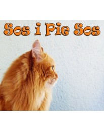 Sos i Pie Sos Steam CD Key
