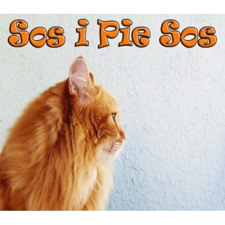 Sos i Pie Sos Steam CD Key