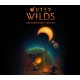 Outer Wilds Archaeologist Edition RoW PC Steam CD Key