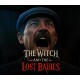The Witch and The Lost Babies PC Steam CD Key
